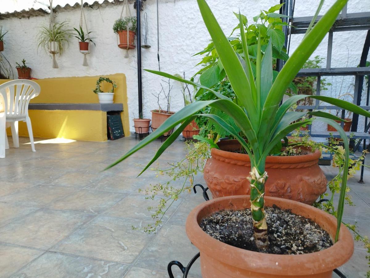 Voulas Guest House Волос Екстер'єр фото